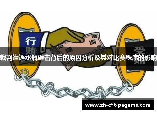 裁判遭遇水瓶砸击背后的原因分析及其对比赛秩序的影响